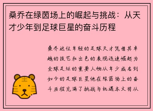 桑乔在绿茵场上的崛起与挑战：从天才少年到足球巨星的奋斗历程