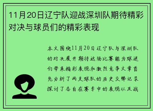 11月20日辽宁队迎战深圳队期待精彩对决与球员们的精彩表现